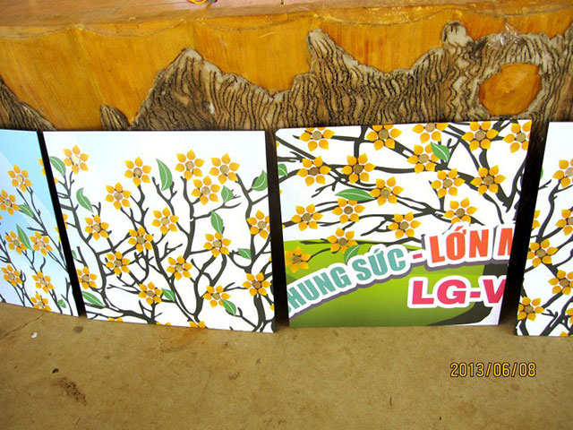Teambuilding 2013: LG-VINA, chung sức - lớn mạnh - thành công (7,8-6-2013)